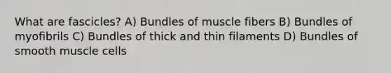 What are fascicles? ​A) Bundles of muscle fibers​ ​B) Bundles of myofibrils ​C) Bundles of thick and thin filaments ​D) Bundles of smooth muscle cells