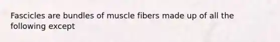 Fascicles are bundles of muscle fibers made up of all the following except