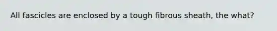 All fascicles are enclosed by a tough fibrous sheath, the what?