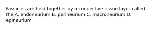 Fascicles are held together by a connective tissue layer called the A. endoneurium B. perineurium C. macroneurium D. epineurium