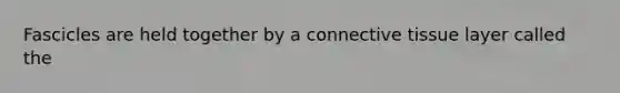 Fascicles are held together by a connective tissue layer called the