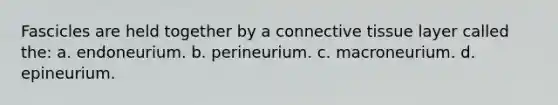 Fascicles are held together by a connective tissue layer called the: a. endoneurium. b. perineurium. c. macroneurium. d. epineurium.