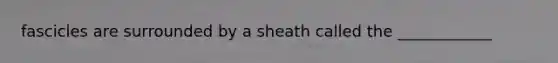 fascicles are surrounded by a sheath called the ____________