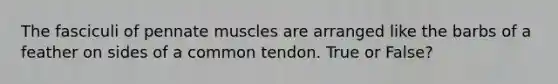 The fasciculi of pennate muscles are arranged like the barbs of a feather on sides of a common tendon. True or False?