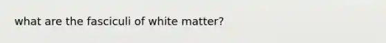 what are the fasciculi of white matter?