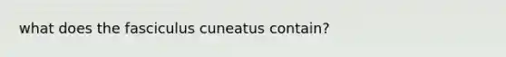 what does the fasciculus cuneatus contain?