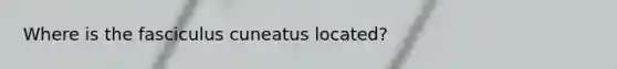 Where is the fasciculus cuneatus located?