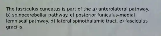 The fasciculus cuneatus is part of the a) anterolateral pathway. b) spinocerebellar pathway. c) posterior funiculus-medial lemniscal pathway. d) lateral spinothalamic tract. e) fasciculus gracilis.