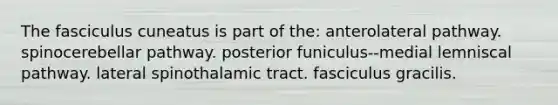 The fasciculus cuneatus is part of the: anterolateral pathway. spinocerebellar pathway. posterior funiculus--medial lemniscal pathway. lateral spinothalamic tract. fasciculus gracilis.