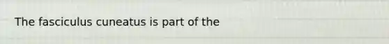 The fasciculus cuneatus is part of the