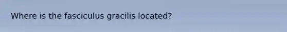 Where is the fasciculus gracilis located?