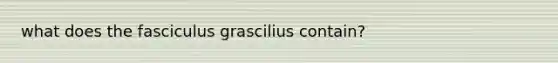 what does the fasciculus grascilius contain?