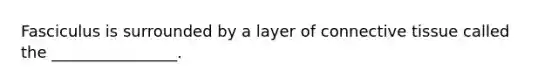 Fasciculus is surrounded by a layer of <a href='https://www.questionai.com/knowledge/kYDr0DHyc8-connective-tissue' class='anchor-knowledge'>connective tissue</a> called the ________________.