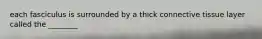 each fasciculus is surrounded by a thick connective tissue layer called the ________