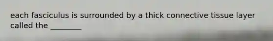 each fasciculus is surrounded by a thick <a href='https://www.questionai.com/knowledge/kYDr0DHyc8-connective-tissue' class='anchor-knowledge'>connective tissue</a> layer called the ________