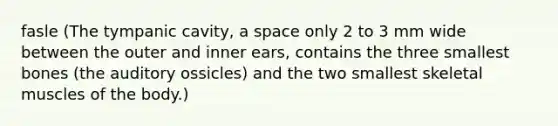 fasle (The tympanic cavity, a space only 2 to 3 mm wide between the outer and inner ears, contains the three smallest bones (the auditory ossicles) and the two smallest skeletal muscles of the body.)