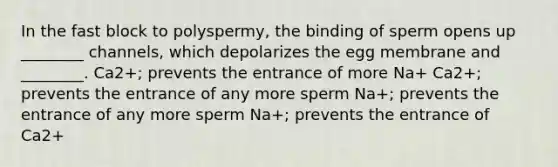 In the fast block to polyspermy, the binding of sperm opens up ________ channels, which depolarizes the egg membrane and ________. Ca2+; prevents the entrance of more Na+ Ca2+; prevents the entrance of any more sperm Na+; prevents the entrance of any more sperm Na+; prevents the entrance of Ca2+