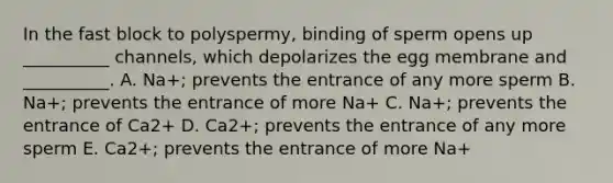 In the fast block to polyspermy, binding of sperm opens up __________ channels, which depolarizes the egg membrane and __________. A. Na+; prevents the entrance of any more sperm B. Na+; prevents the entrance of more Na+ C. Na+; prevents the entrance of Ca2+ D. Ca2+; prevents the entrance of any more sperm E. Ca2+; prevents the entrance of more Na+