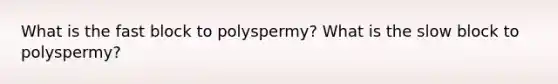 What is the fast block to polyspermy? What is the slow block to polyspermy?