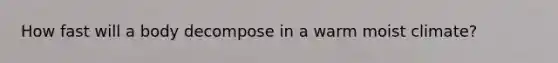 How fast will a body decompose in a warm moist climate?