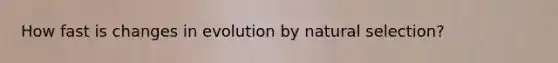 How fast is changes in evolution by natural selection?