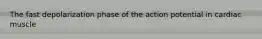The fast depolarization phase of the action potential in cardiac muscle