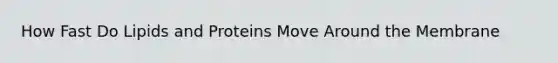 How Fast Do Lipids and Proteins Move Around the Membrane