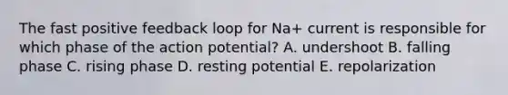 The fast positive feedback loop for Na+ current is responsible for which phase of the action potential? A. undershoot B. falling phase C. rising phase D. resting potential E. repolarization