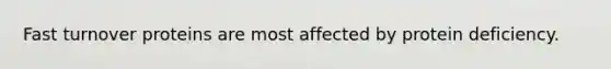 Fast turnover proteins are most affected by protein deficiency.