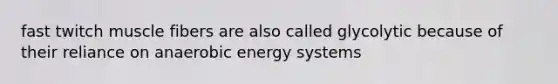 fast twitch muscle fibers are also called glycolytic because of their reliance on anaerobic energy systems