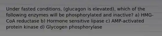 Under fasted conditions, (glucagon is elevated), which of the following enzymes will be phosphorylated and inactive? a) HMG-CoA reductase b) Hormone sensitive lipase c) AMP-activated protein kinase d) Glycogen phosphorylase