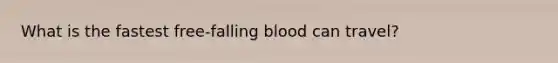 What is the fastest free-falling blood can travel?