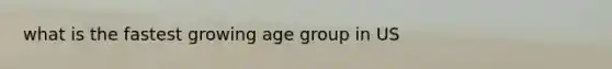 what is the fastest growing age group in US