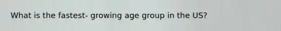 What is the fastest- growing age group in the US?