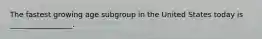 The fastest growing age subgroup in the United States today is _________________.