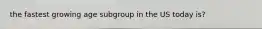 the fastest growing age subgroup in the US today is?