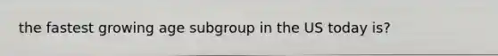 the fastest growing age subgroup in the US today is?