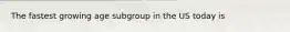 The fastest growing age subgroup in the US today is