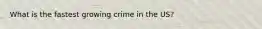 What is the fastest growing crime in the US?