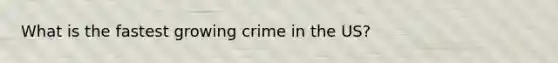 What is the fastest growing crime in the US?