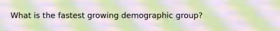 What is the fastest growing demographic group?