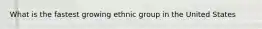 What is the fastest growing ethnic group in the United States