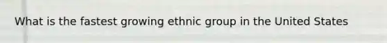 What is the fastest growing ethnic group in the United States