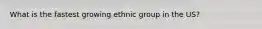 What is the fastest growing ethnic group in the US?