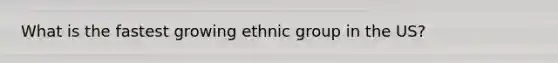 What is the fastest growing ethnic group in the US?