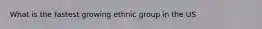 What is the fastest growing ethnic group in the US