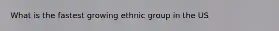 What is the fastest growing ethnic group in the US