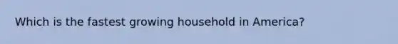 Which is the fastest growing household in America?