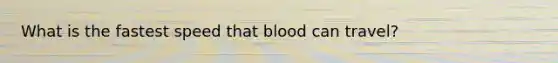 What is the fastest speed that blood can travel?