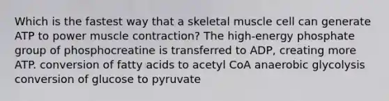 Which is the fastest way that a skeletal muscle cell can generate ATP to power muscle contraction? The high-energy phosphate group of phosphocreatine is transferred to ADP, creating more ATP. conversion of fatty acids to acetyl CoA anaerobic glycolysis conversion of glucose to pyruvate